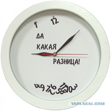 Когда коту делать нечего