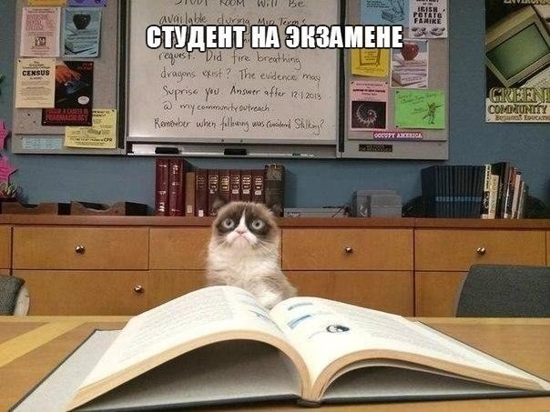Смешные картинки