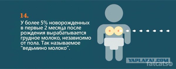 Очевидно, но факт