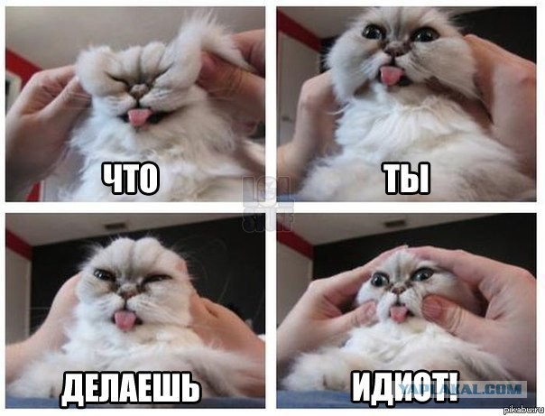 Улыбнуло часть "2"