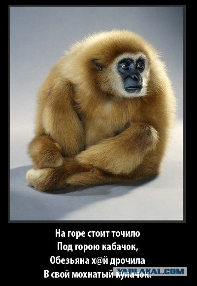 Смешные картинки