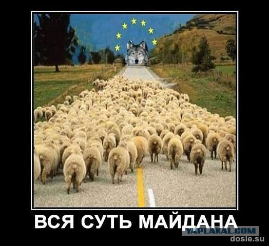 Украинские приколы.