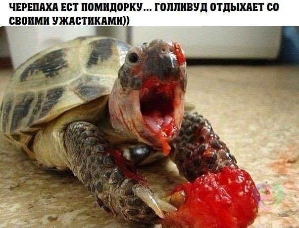 Фотки из инетов