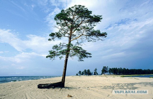 Байкальский пляж