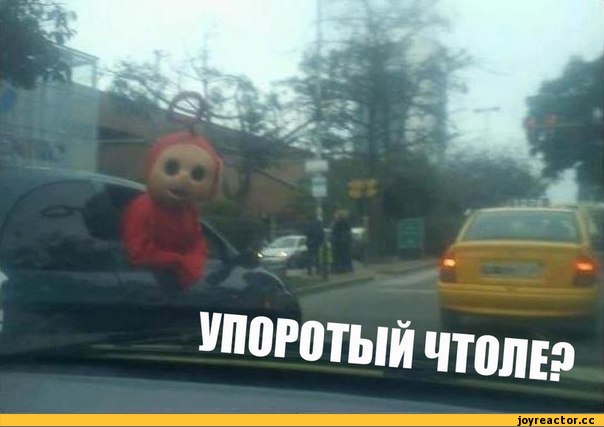 Круговорот оружия в природе