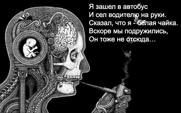 Веселые картинки