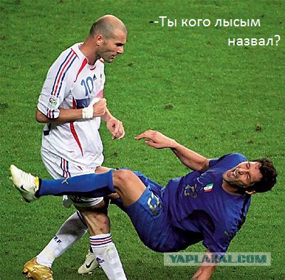 Когда они еще были волосатыми...