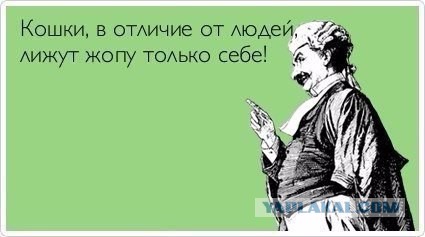 Разные картинки из сети