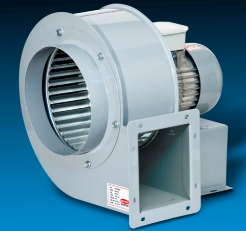 Хорошего вам дня