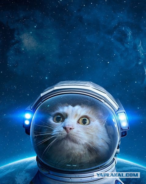 Подборка картинок 04.03.16