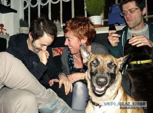 Фото сделанные в нужный момент