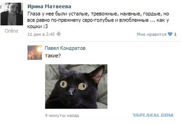 Смешные комментарии из социальных сетей