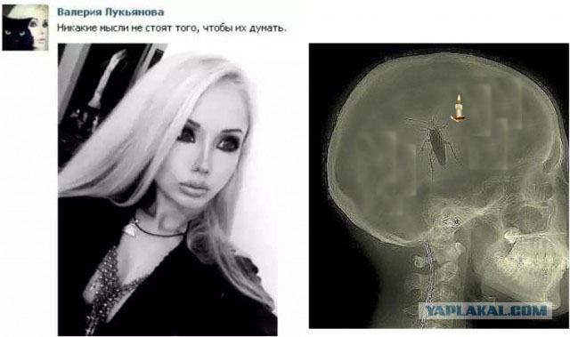 Уважаемый, у вас ус отклеился!