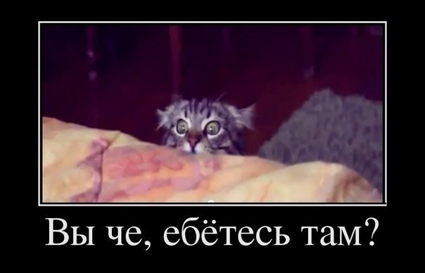 Самый неприятный и внезапный звук в процессе коитуса?