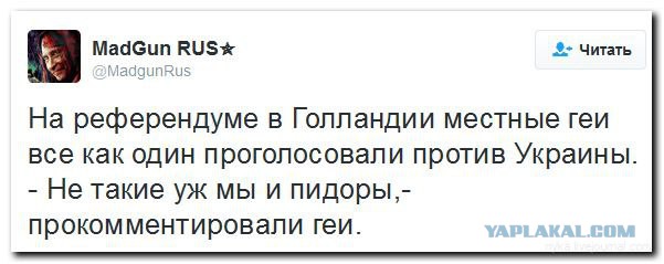 Известный аналитик о референдуме в Нидерландах