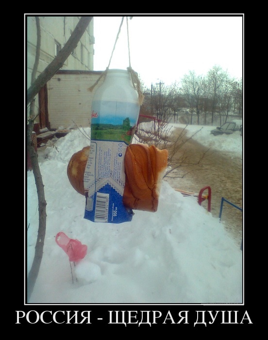 Только в России.