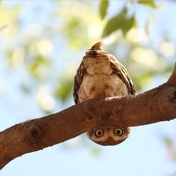 Подборка интересных и веселых картинок