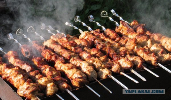 Электрошашлык party