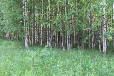 Маленькое путешествие в историю.