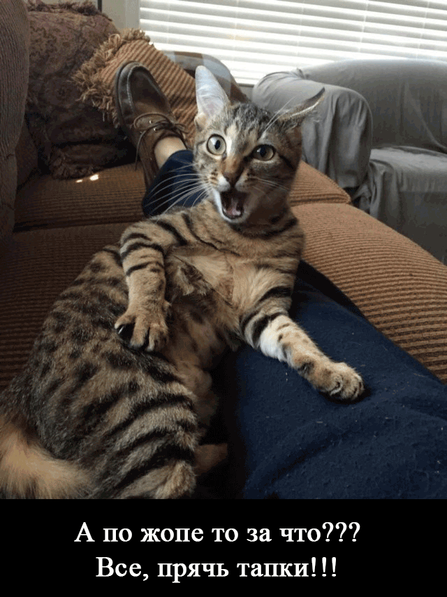 Подборка интересных и веселых фото