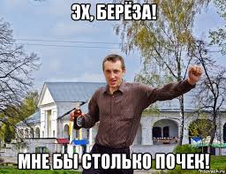 Светлана Орлова предложила ввести налог на сбор грибов и ягод