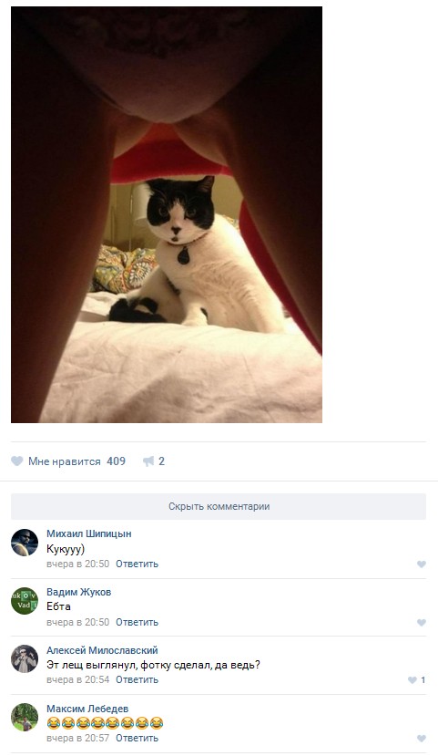 Ужасы и приколы из соцсетей 18+