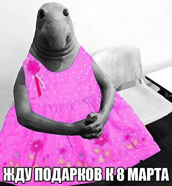 Картинки ИЗ сети