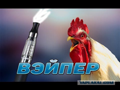 Любой срач на ЯПе