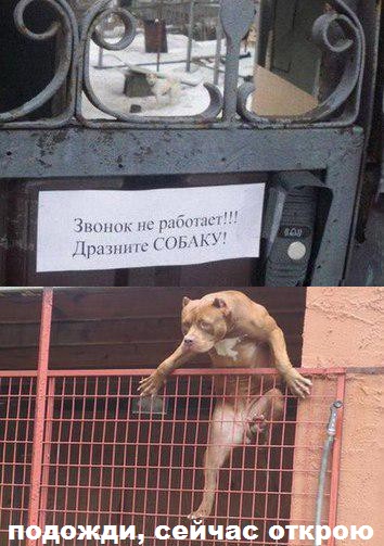 Картинки прикольные 25шт