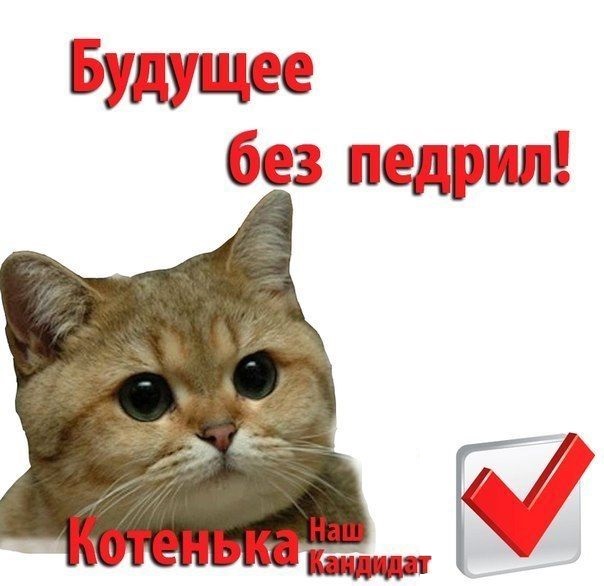 В таком унынии перед выборами я еще не был