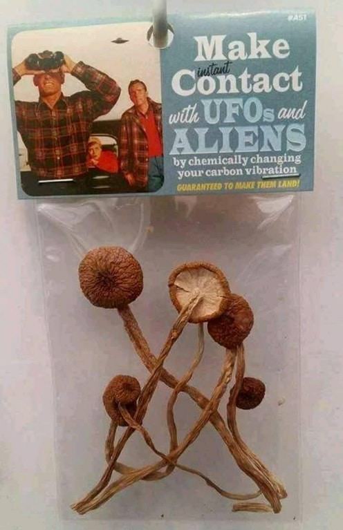Гигантская медуза