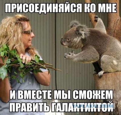 Конкурс мокрых футболок в австралийском ночном клубе