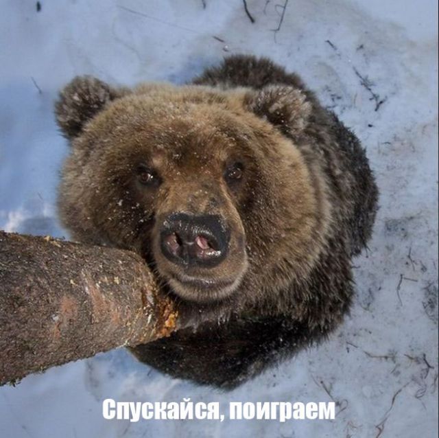 Вслед за кириллицей Казахстан откажется и от русского языка