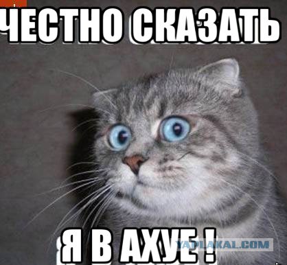 Израильский депутат провозгласил верховенство "еврейской расы", назвав её ”высшим человеческим капиталом"