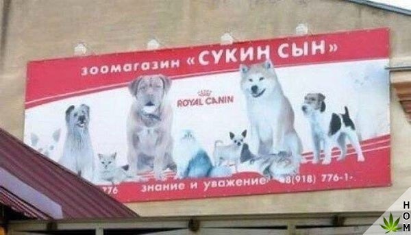 Прикольные надписи и объявления