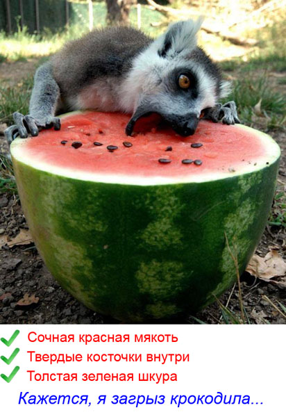 Плотный обед.