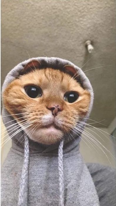 Немного картинок на вечер