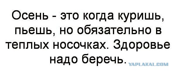 Смешные комментарии из социальных сетей 09.11.2018