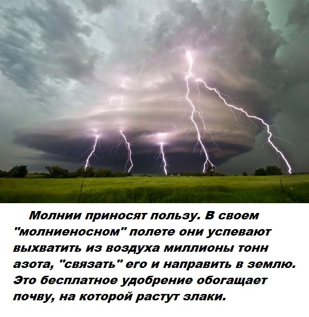 Подборка бесполезных фактов.