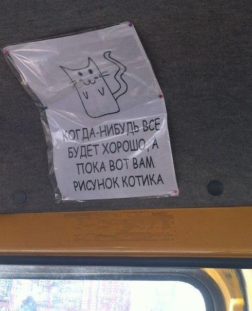Ушёл за холодцом