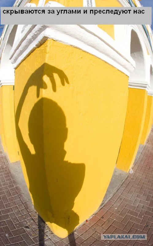 Мы уже прилетели (12 фото)