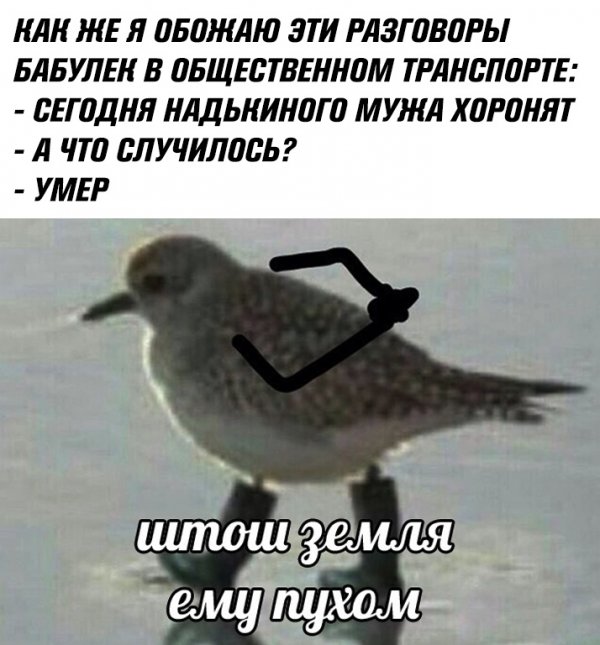 Нестандартный юмор