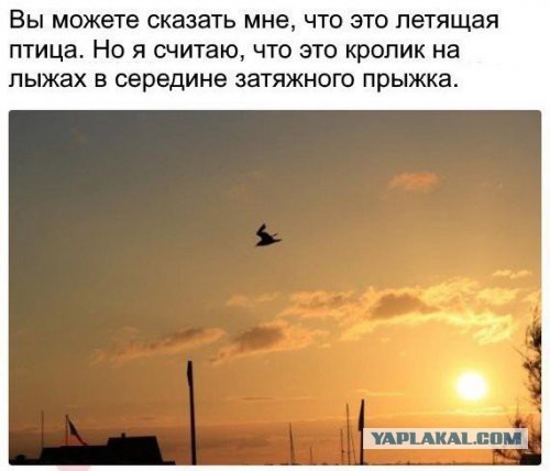 Смешные комментарии из социальных сетей 20.09.2019