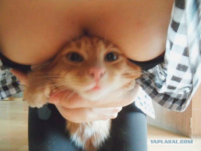 Всякое с ЗМ