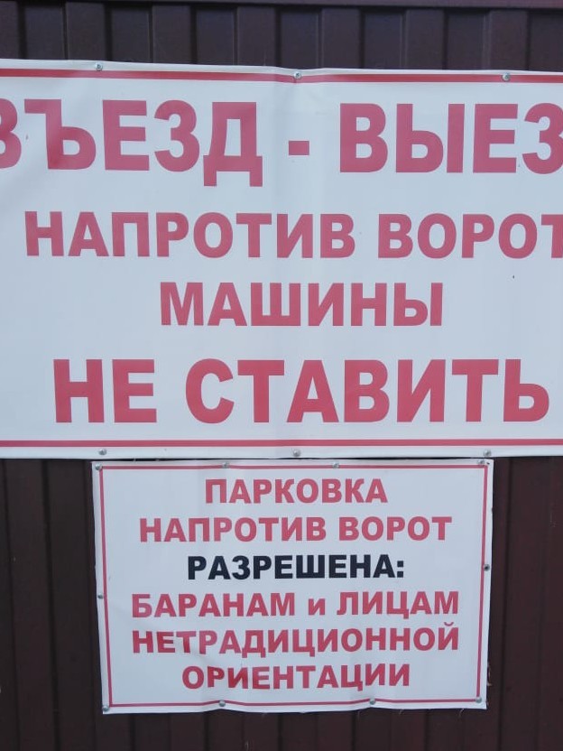 Перлы 04.11.19