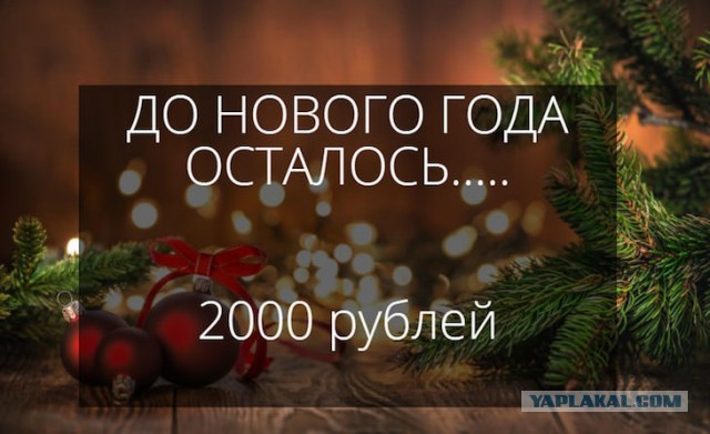 Немного картинок для настроения 13.12.19
