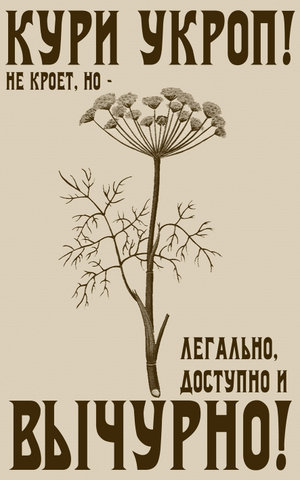 Похмеляйтесь правильно