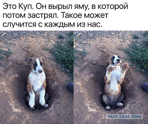 Чуток картинок! 26.12.19