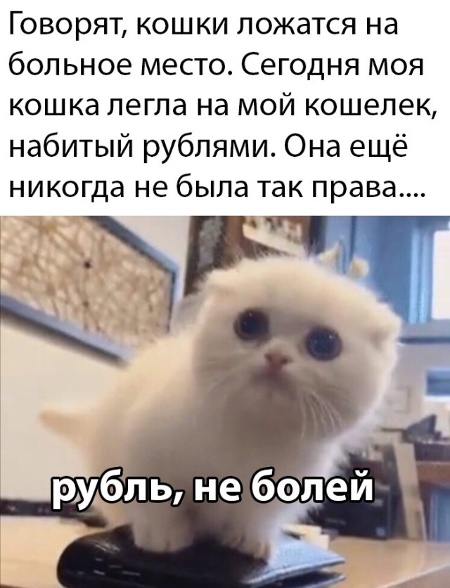 Забавные шутки, картинки и фразы из этих ваших интернетов