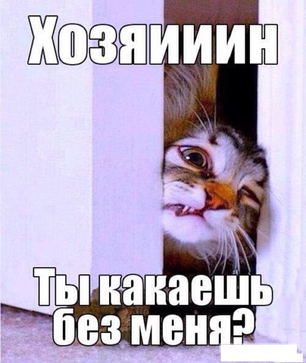 Определено соотношение мужчин и женщин в России